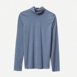 Everlane Pima Stretch Turtleneck